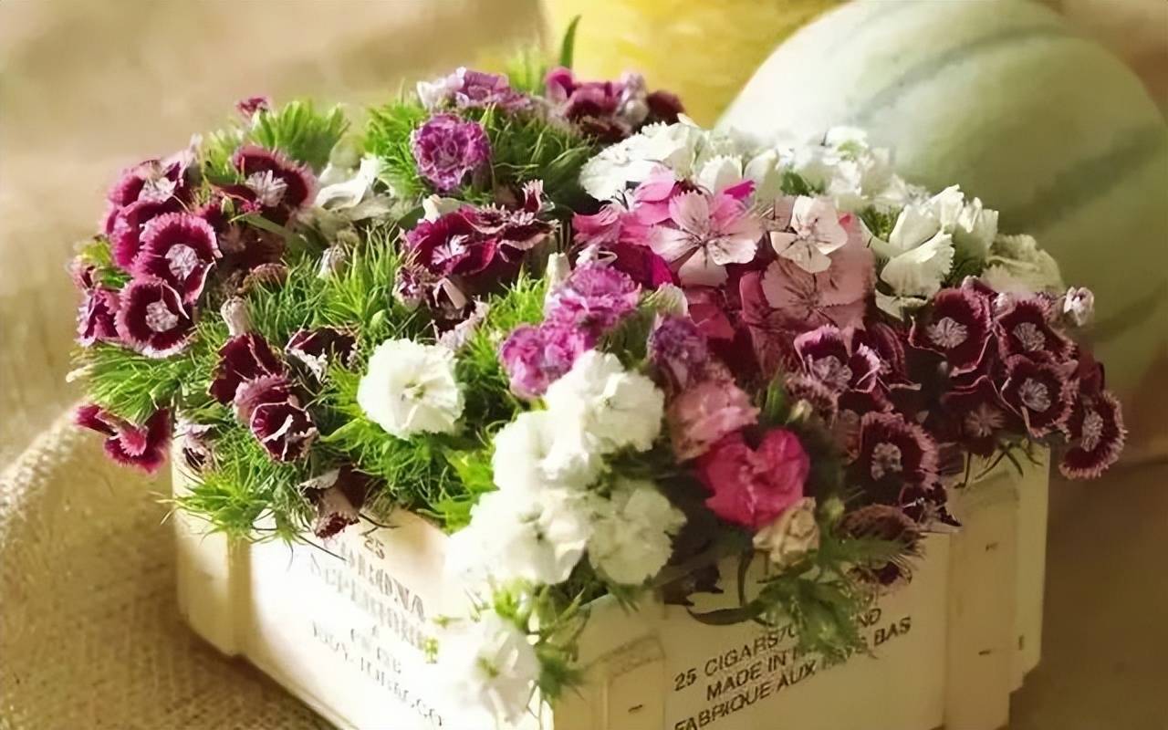 什么是鲜花电报