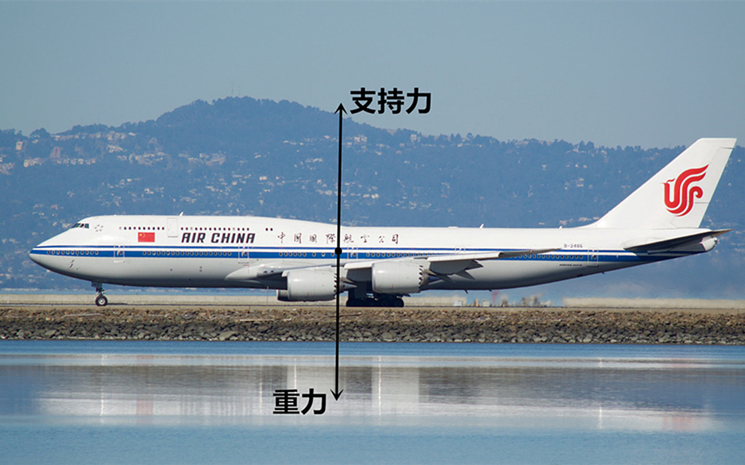 打一生肖